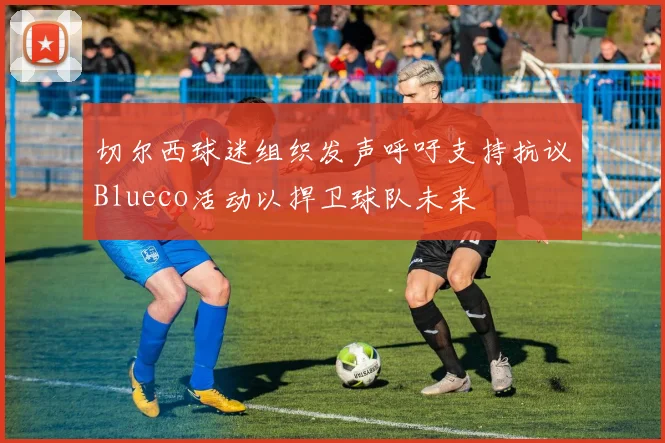 切尔西球迷组织发声呼吁支持抗议Blueco活动以捍卫球队未来