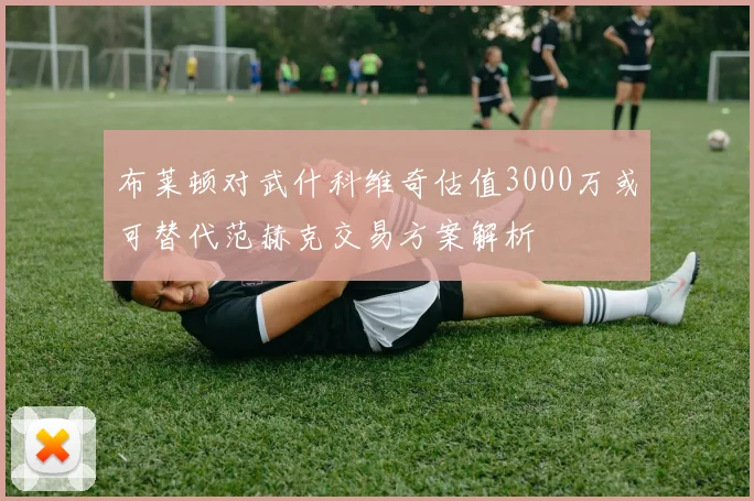 布莱顿对武什科维奇估值3000万或可替代范赫克交易方案解析